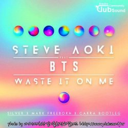 Steve Aoki feat. BTS - Waste It On Me (Silver x Mark Freeborn x Carra Bootleg)