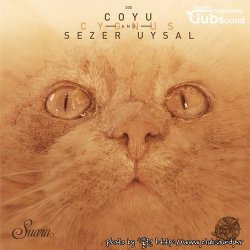 Sezer Uysal, Coyu - Cygnus (Original Mix)