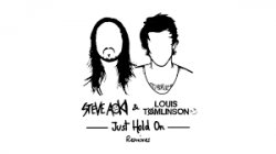 Steve Aoki & Louis Tomlinson - Just Hold On (DVBBS Remix) 스티브아오키 7곡 추천