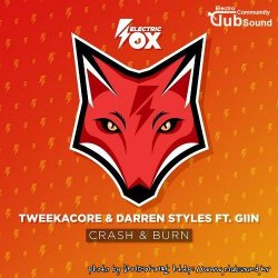 Tweekacore & Darren Styles feat. Giin - Crash & Burn (Extended Mix)