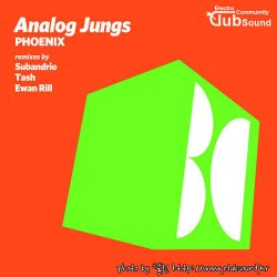 Analog Jungs - Phoenix (Subandrio Remix)