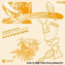 Marlena Shaw - Woman Of The Ghetto (Catz 'n Dogz Remix)