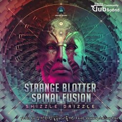 Strange Blotter & Spinal Fusion - Shizzle Drizzle (Original Mix)