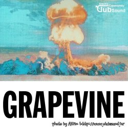 Tiesto - Grapevine (Tujamo Extended Remix)
