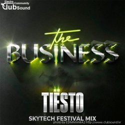 (+17) Tiesto - The Business (Skytech Festival Mix)