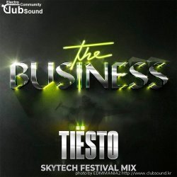 (+17) Tiesto - The Business (Skytech Festival Mix)