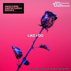 David Guetta, Martin Garrix & Brooks - Like I Do (Extended)