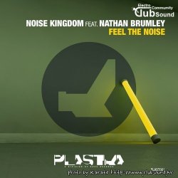 Noise Kingdom feat. Nathan Brumley - Feel The Noise (Original Mix)