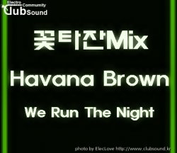 꽃타잔Mix Havana Brown - We Run The Night
