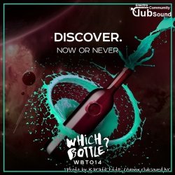 Discover. - Now Or Never (Original Mix)