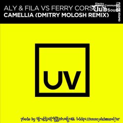 Aly & Fila vs. Ferry Corsten - Camellia (Dmitry Molosh Extended Remix)