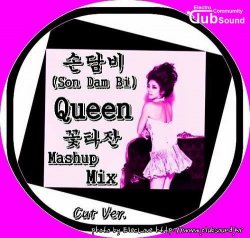 손담비(Son Dam Bi) - Queen (꽃타잔 Mashup Mix) Cut Ver.