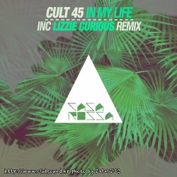 Cult 45 - In My Life (Original Mix)