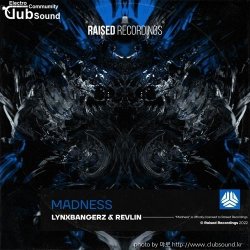 ミLynxbangerz & Revlin - Madness (Extended Mix)+12