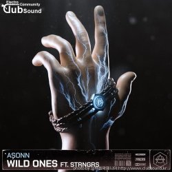 (+9) Asonn Feat. STRNGRS - Wild Ones (Extended Mix)