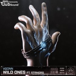 (+9) Asonn Feat. STRNGRS - Wild Ones (Extended Mix)