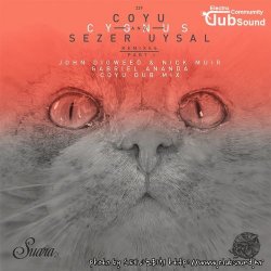 Sezer Uysal, Coyu - Cygnus (Gabriel Ananda Remix)