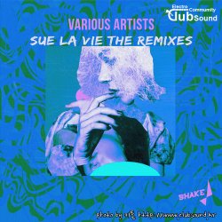 Sue La Vie - Take This Shiny Discoball (Philip Z Remix)
