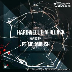 Hardwell & Afrojack feat. MC Ambush - Hands Up (QaRun VS DTAGG) [Demisec Edit]
