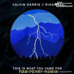 Calvin Harris Feat. Rihanna - This Is What You Came For (Tom Ferry Remix)