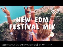 NEW EDM Festival Music Mix #003