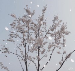 Legend_KL 오랜만에 인사드려용!!