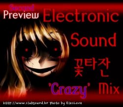 크레이지 2차 프리뷰) Electronic Sound (꽃타잔 'Crazy' Mix) Preview Second Ver.